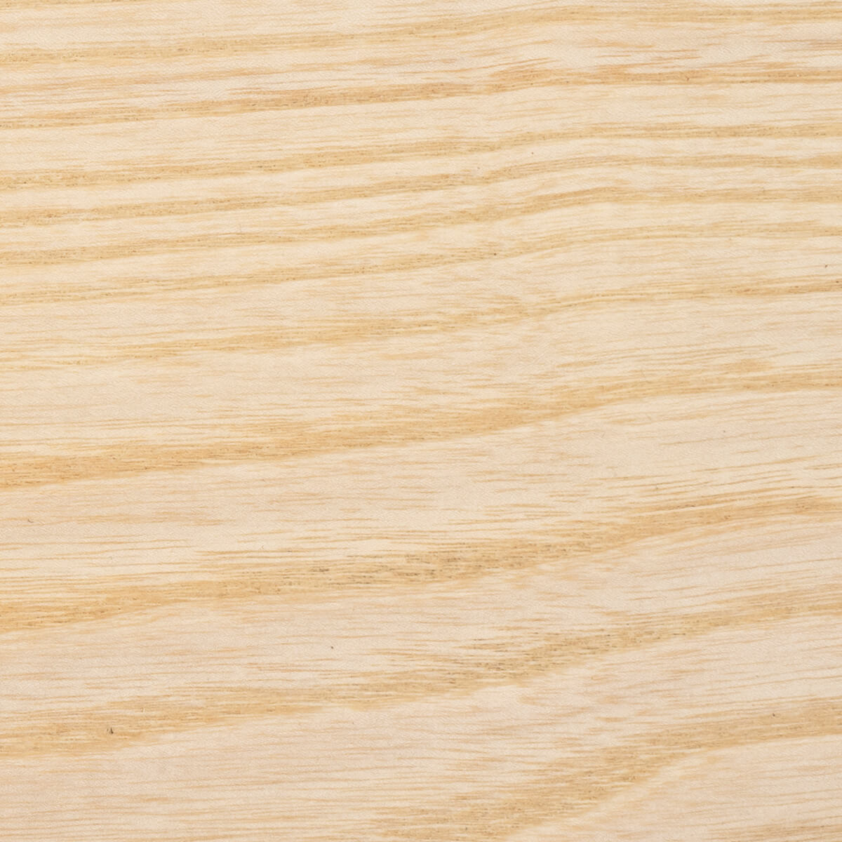 ash timber grain close up