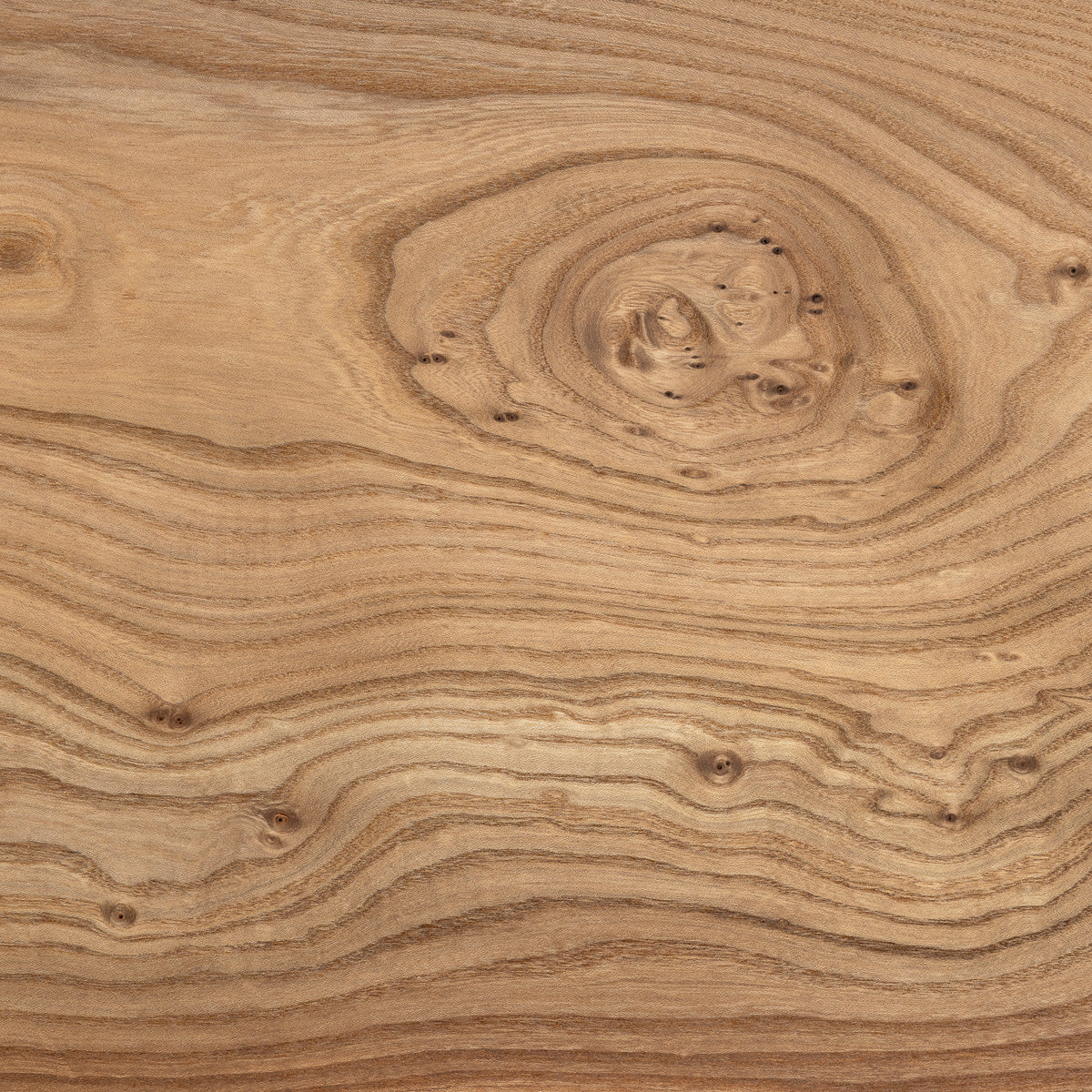 elm timber grain close up