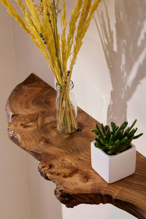 Live edge elm shelf with plants displayed