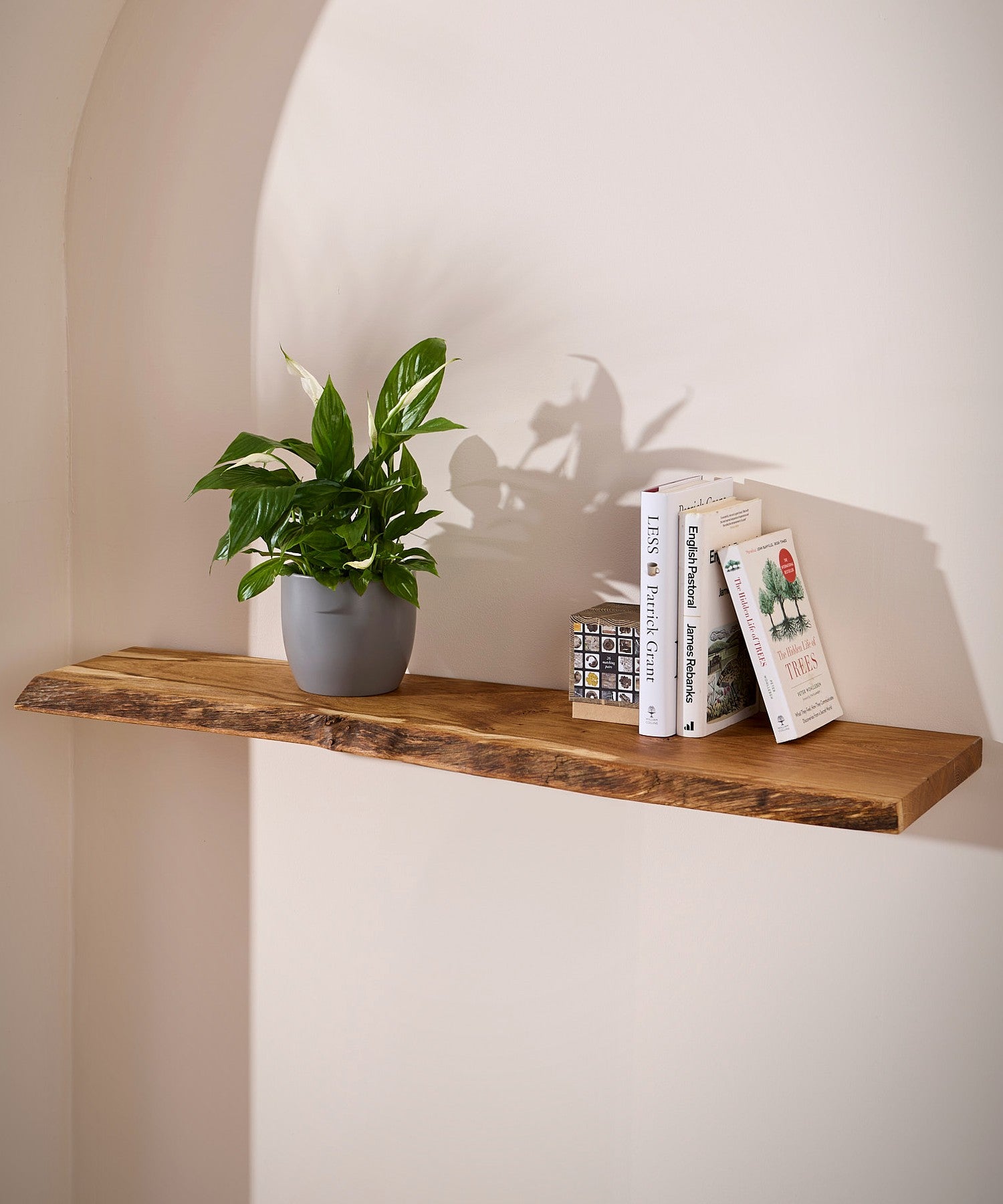 Books and a plant on a floating wooden shelf made of elm with a live edge 