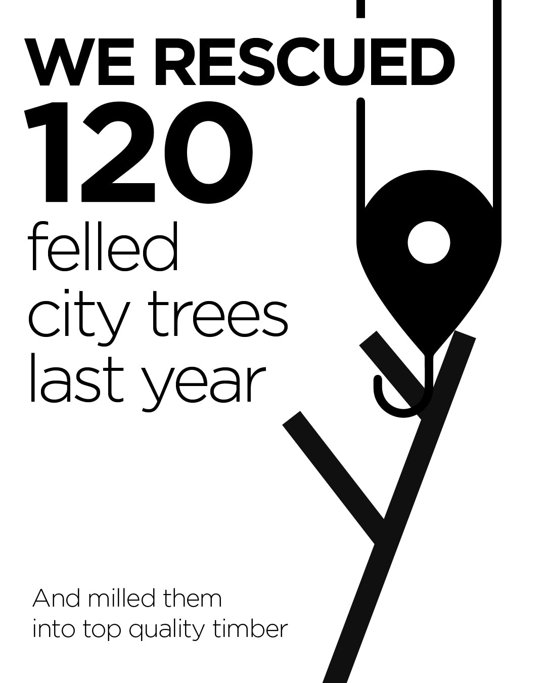 We rescued 120 felled city trees last year