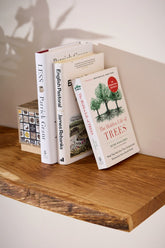 Live edge oak shelf with plant displayed