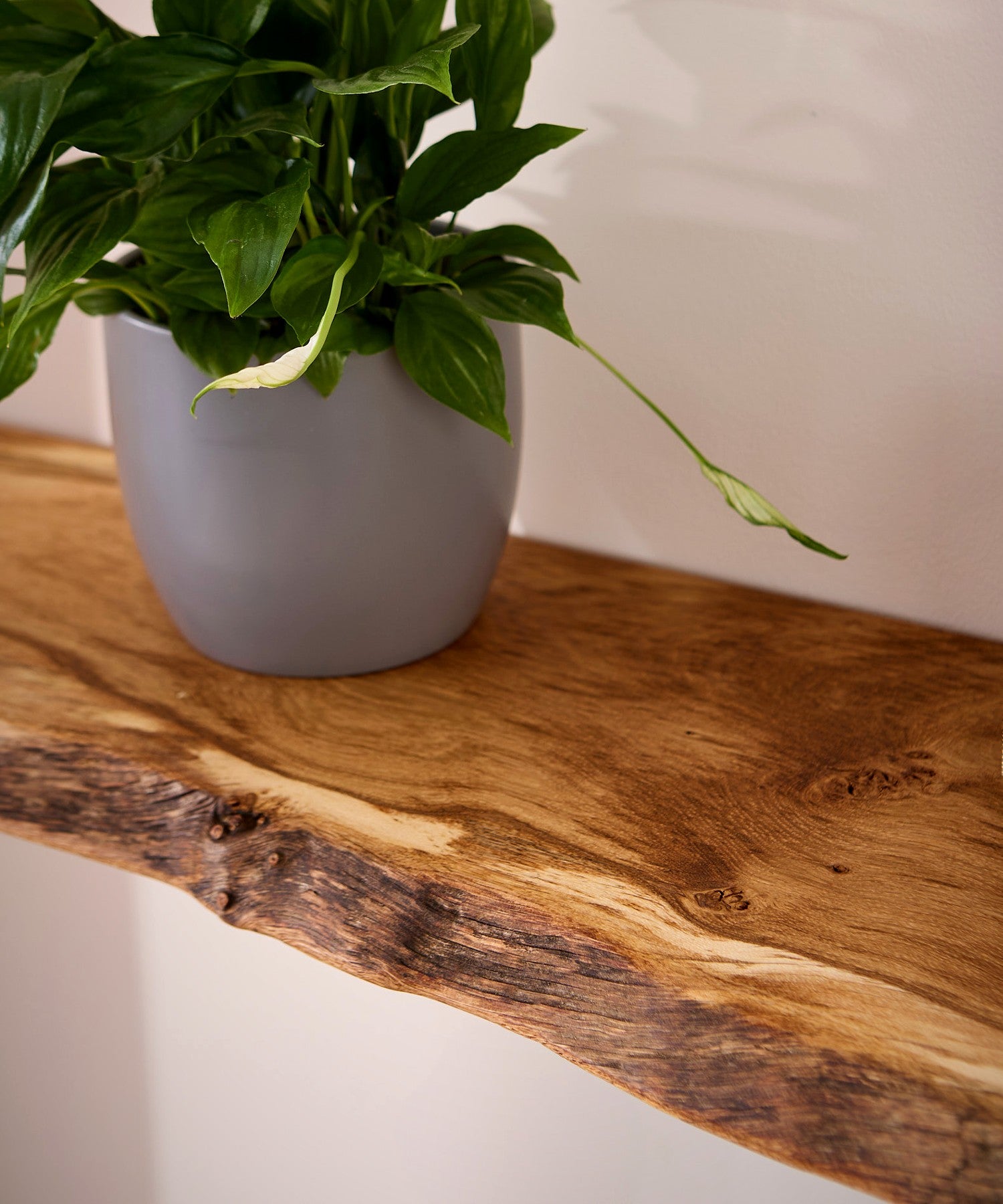 Live edge oak shelf with plant displayed