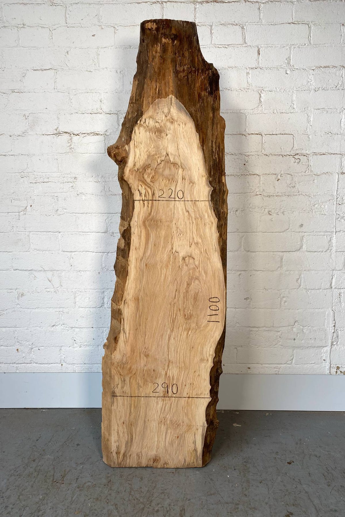 London Plane - Waney Edge Board