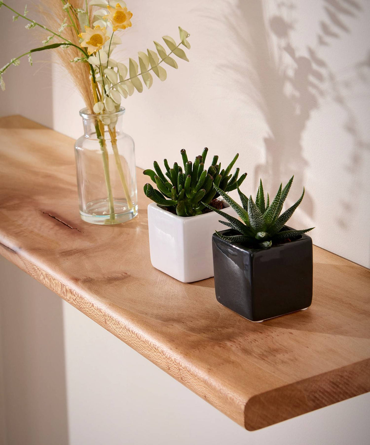 Houseplants on a solid London plane floating wooden shelf