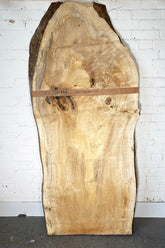 Black Poplar - Large Live Edge Slab