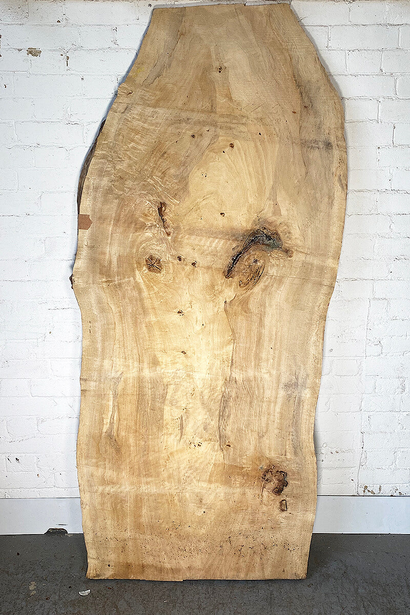 Black Poplar - Large Live Edge Slab