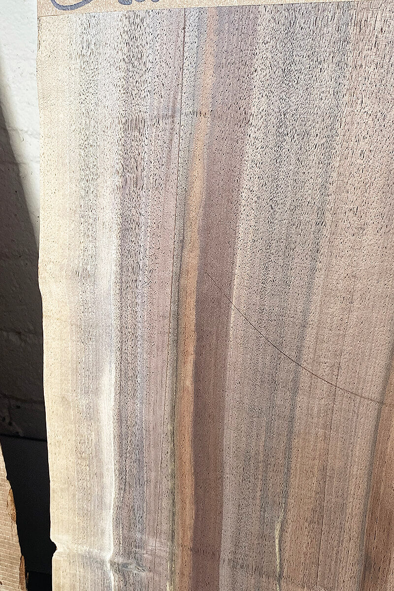 Black Walnut - Waney Edge Boards