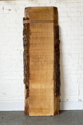 Blue Atlas Cedar - Live Edge Board Front