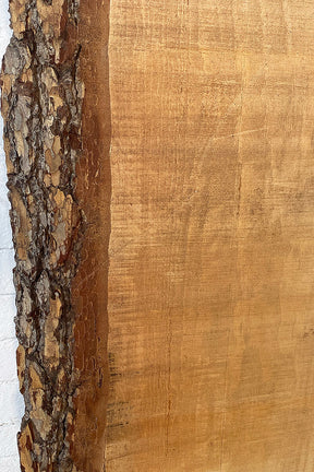 Blue Atlas Cedar - Live Edge Board Close Up