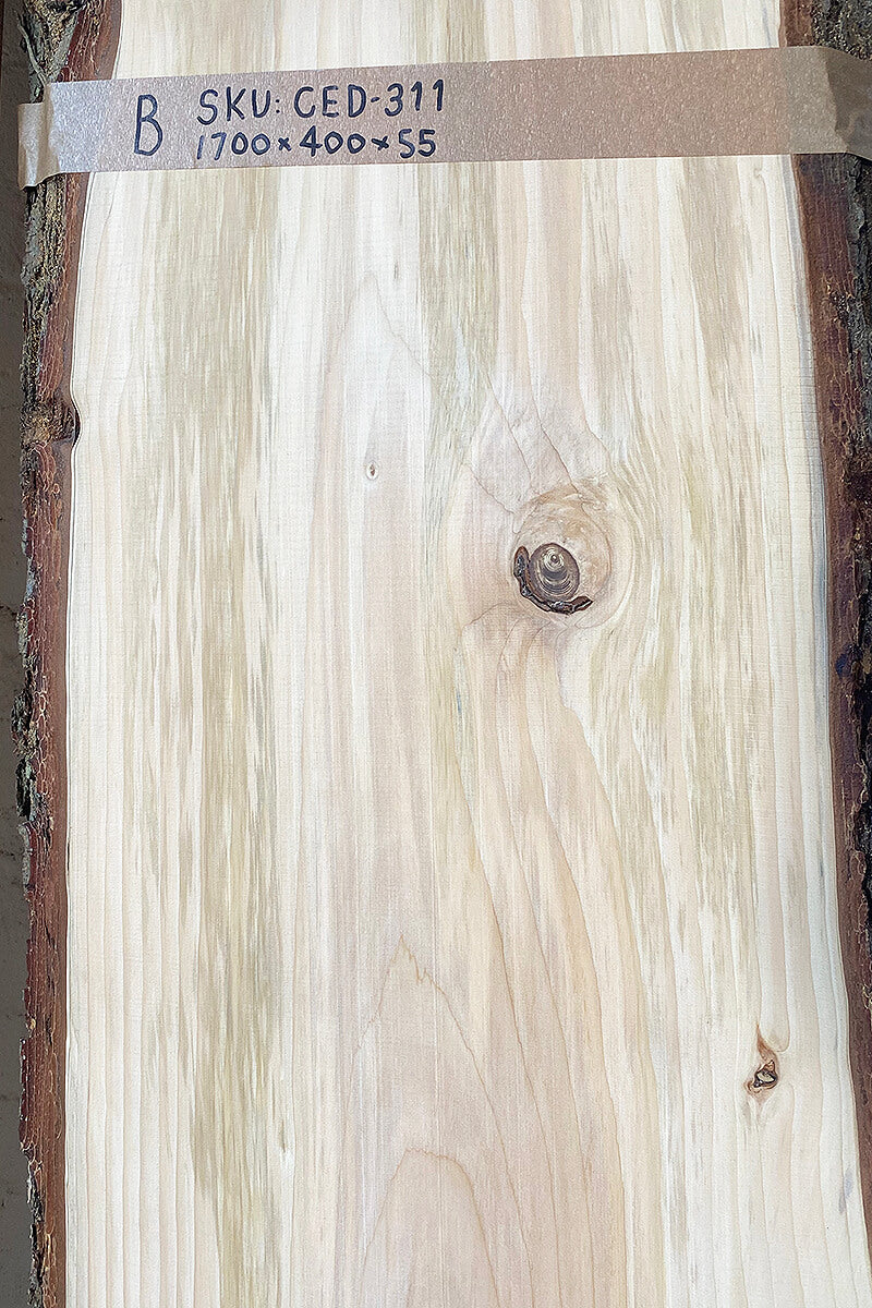 Blue Atlas Cedar - Waney Edge Boards Close Up