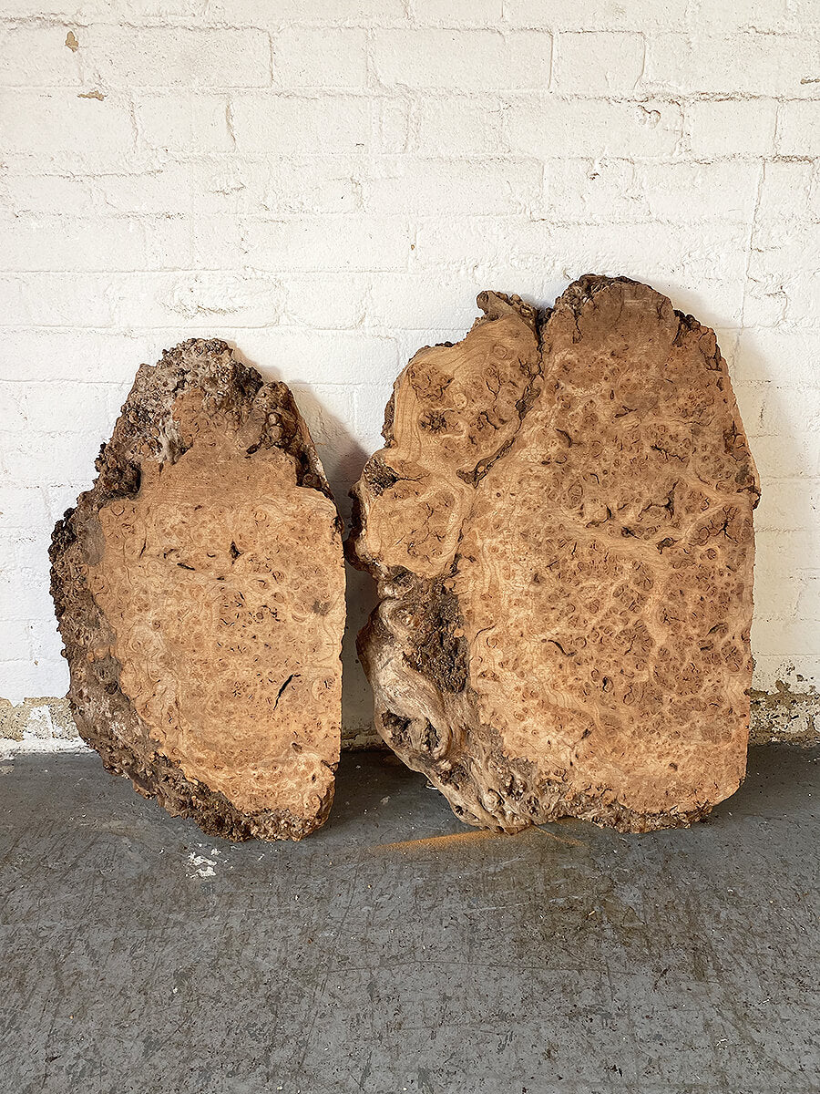 Elm - Burr Slab / Slice