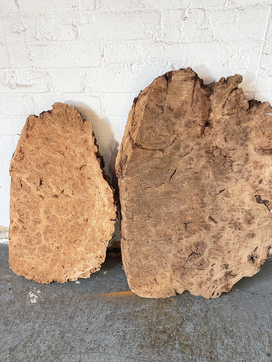 Elm - Burr Slab / Slice