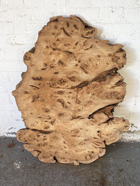 Elm - Character Burr Slab / Slice