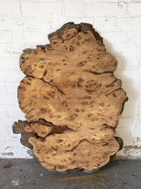 Elm - Character Burr Slab / Slice