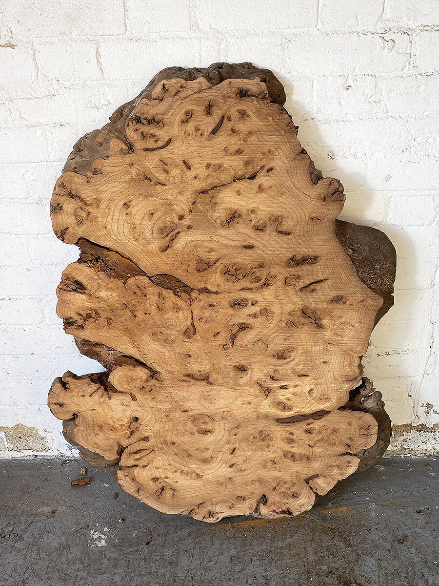 Elm - Character Burr Slab / Slice