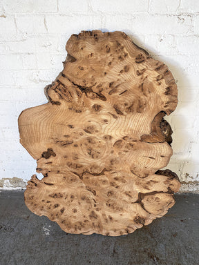 Elm - Character Burr Slab / Slice