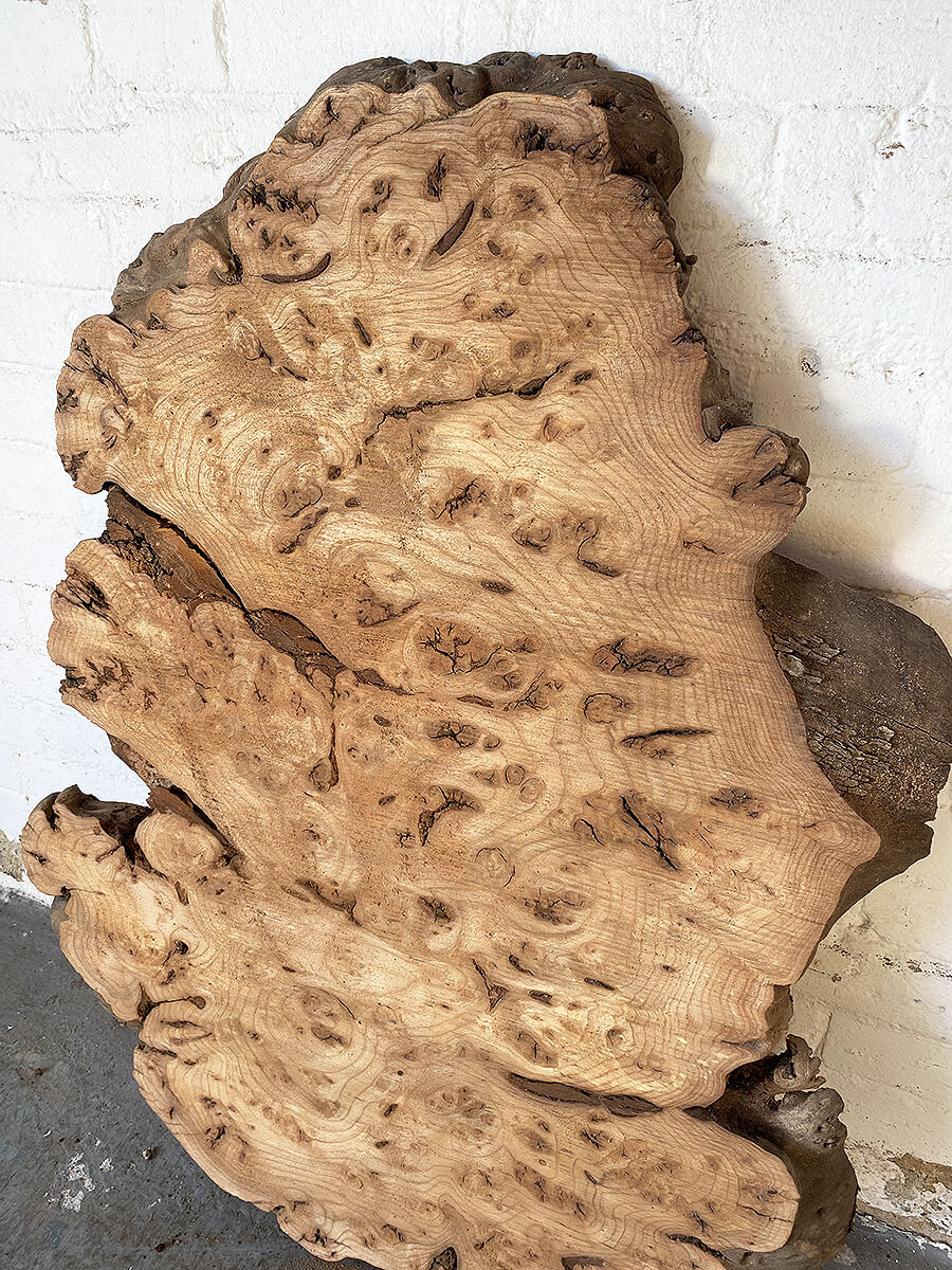 Elm - Character Burr Slab / Slice