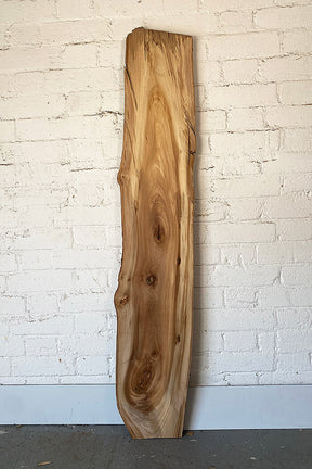 Elm - Waney Edge Board