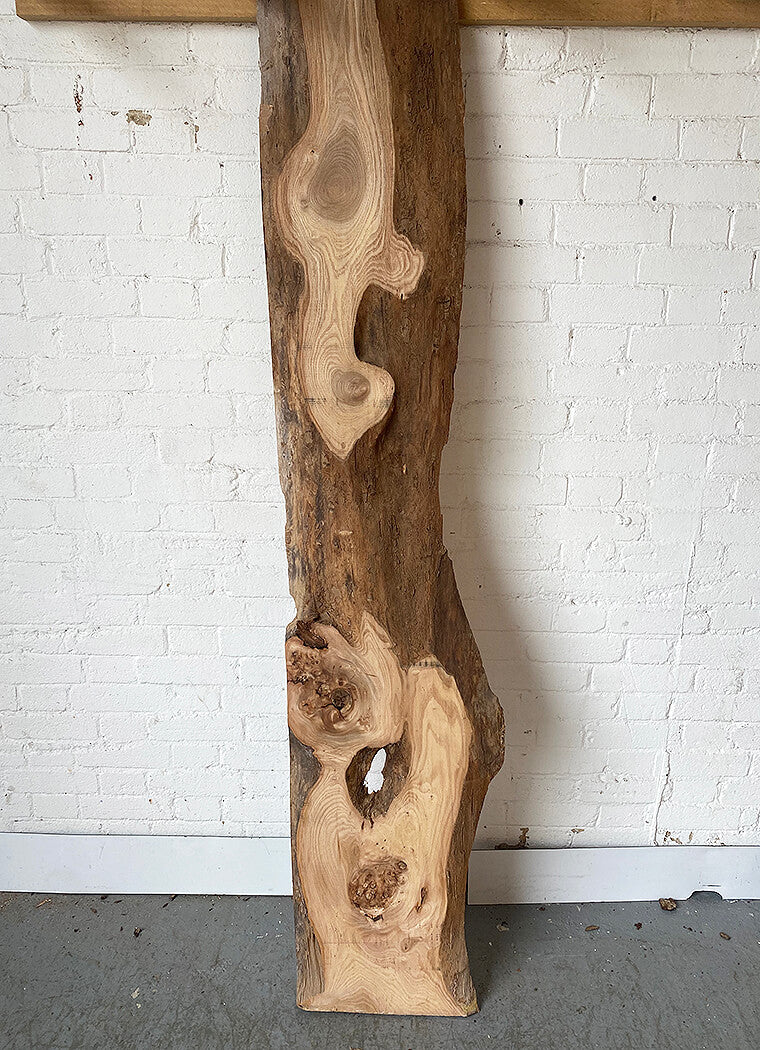 Elm - Waney Edge Board