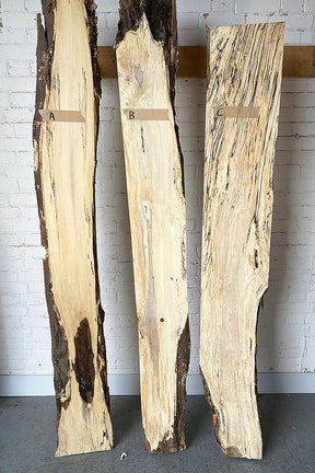 Hornbeam - Spalted Boards