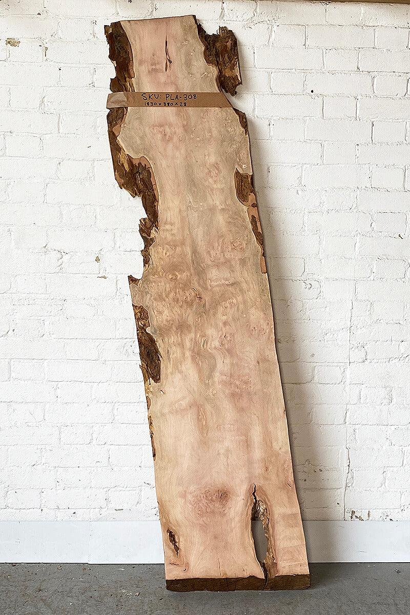 London Plane - Burr Board