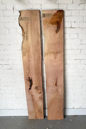 London Plane - Lace Pippy Boards