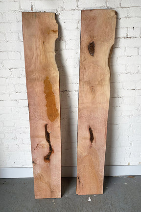 London Plane - Lace Pippy Boards