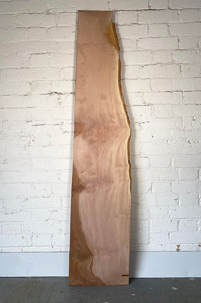 London Plane - Lacey Board