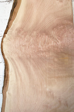 London Plane - Lacey Board