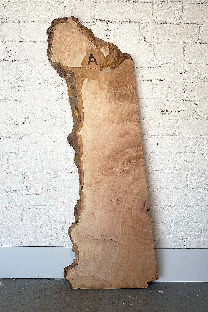 London Plane - Lacey Pippy Board