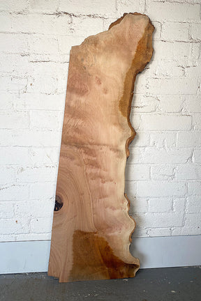 London Plane - Lacey Pippy Board