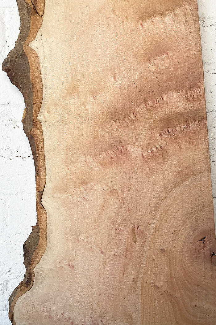 London Plane - Lacey Pippy Board