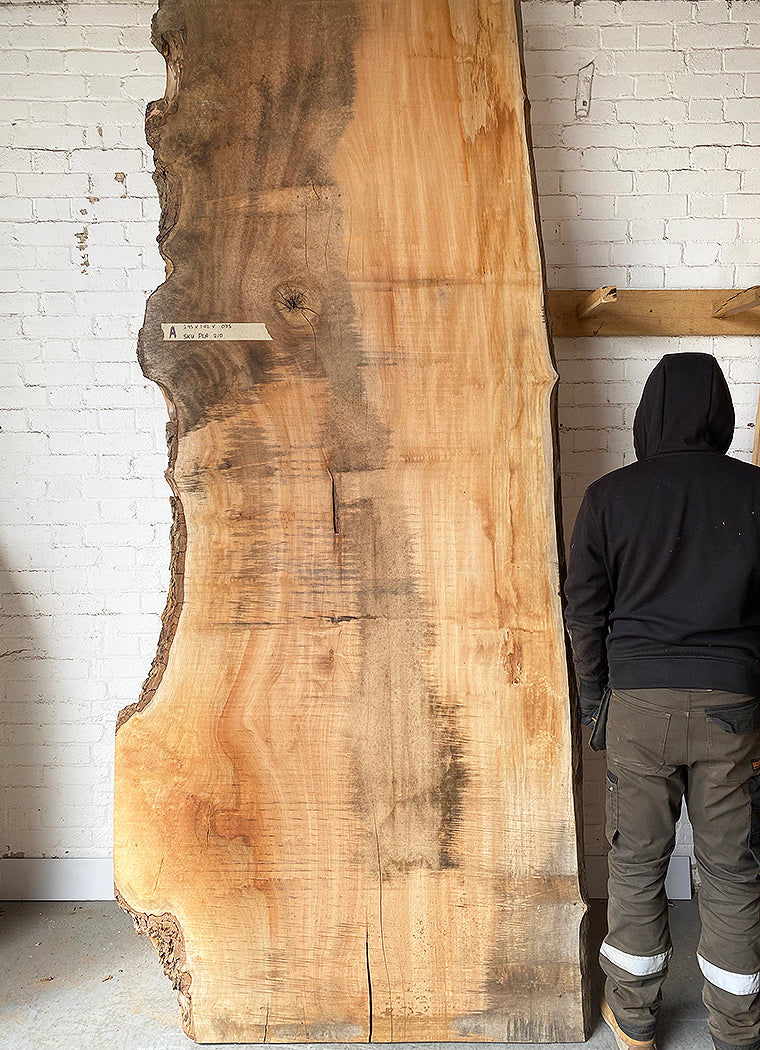 London Plane - Large Waney Edge Board