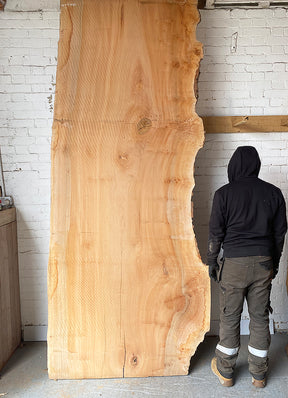 London Plane - Large Waney Edge Board