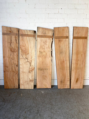 London Plane - Multiple Boards