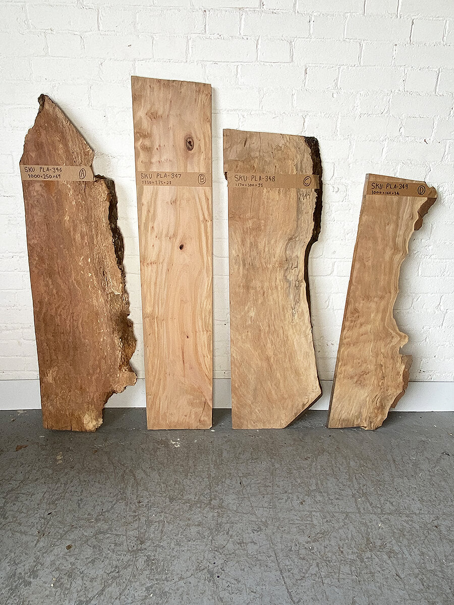 London Plane - Multiple Boards