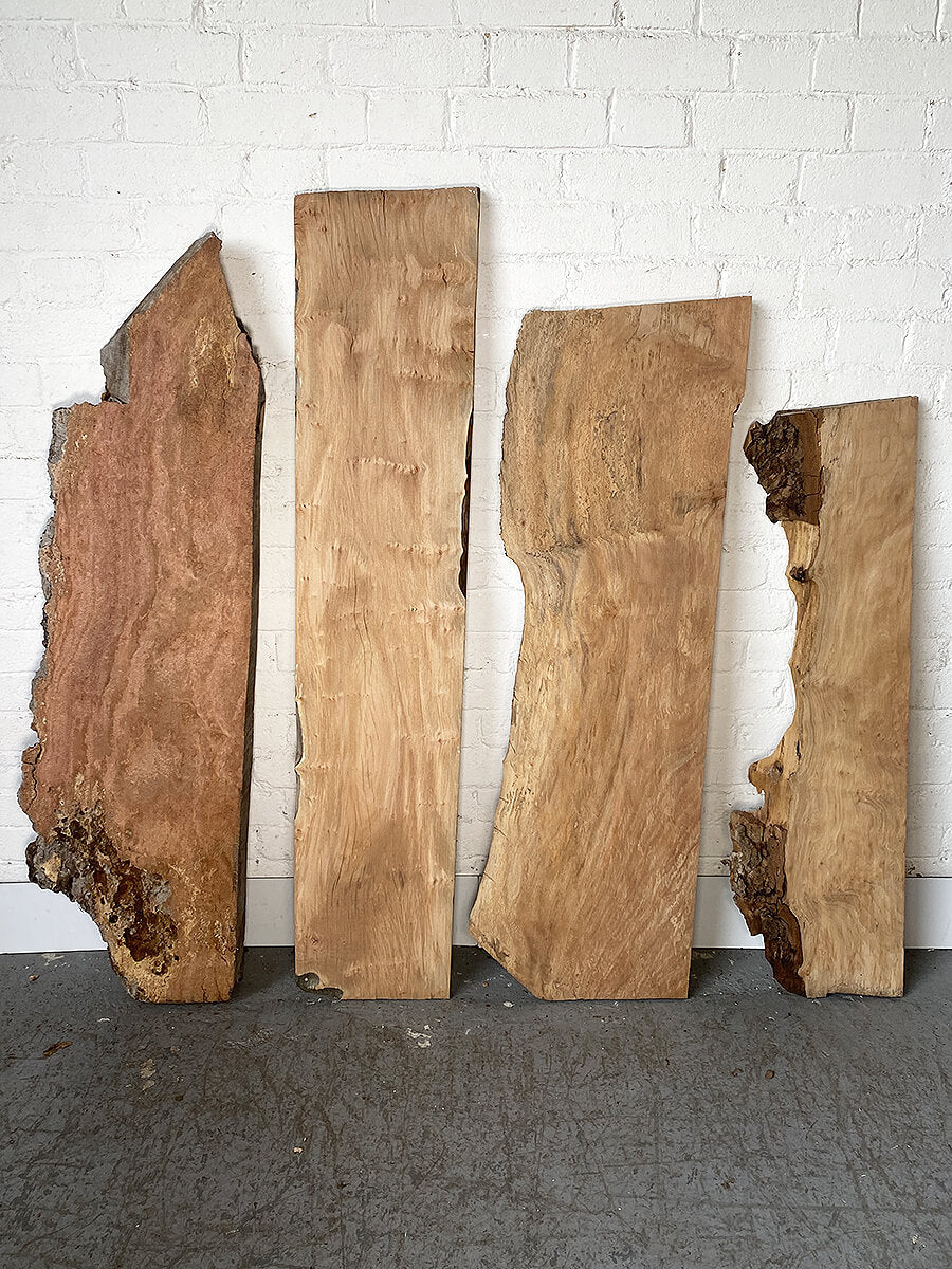 London Plane - Multiple Boards