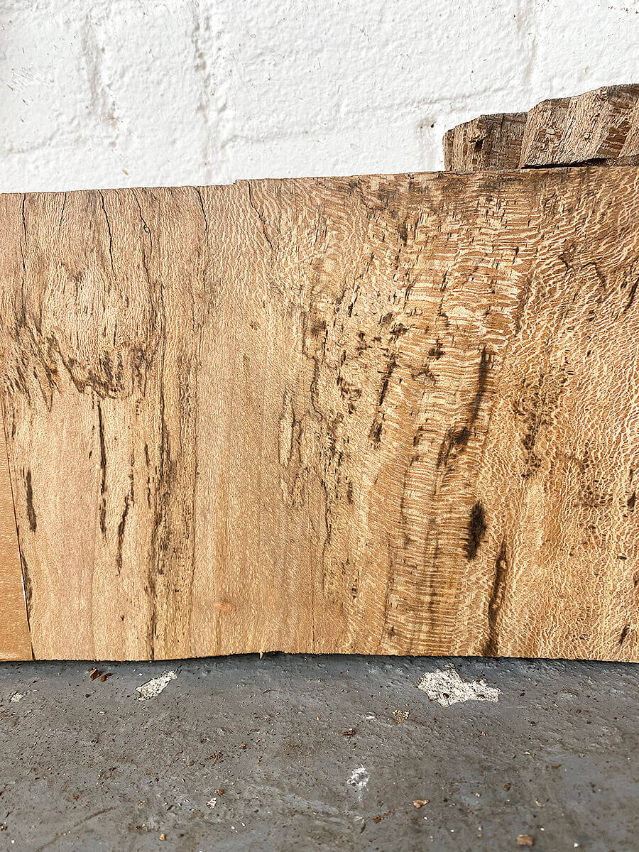 London Plane - Multiple Boards