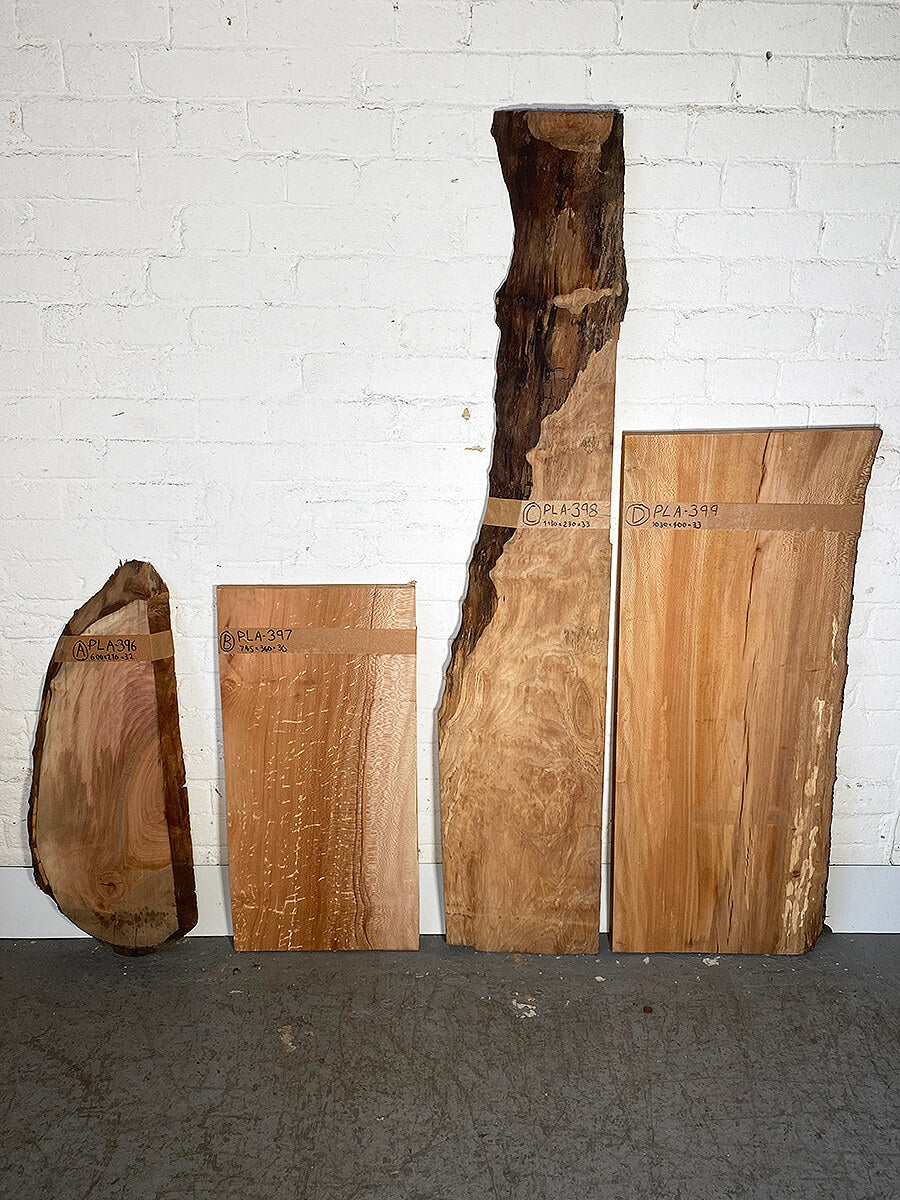 London Plane - Multiple Boards