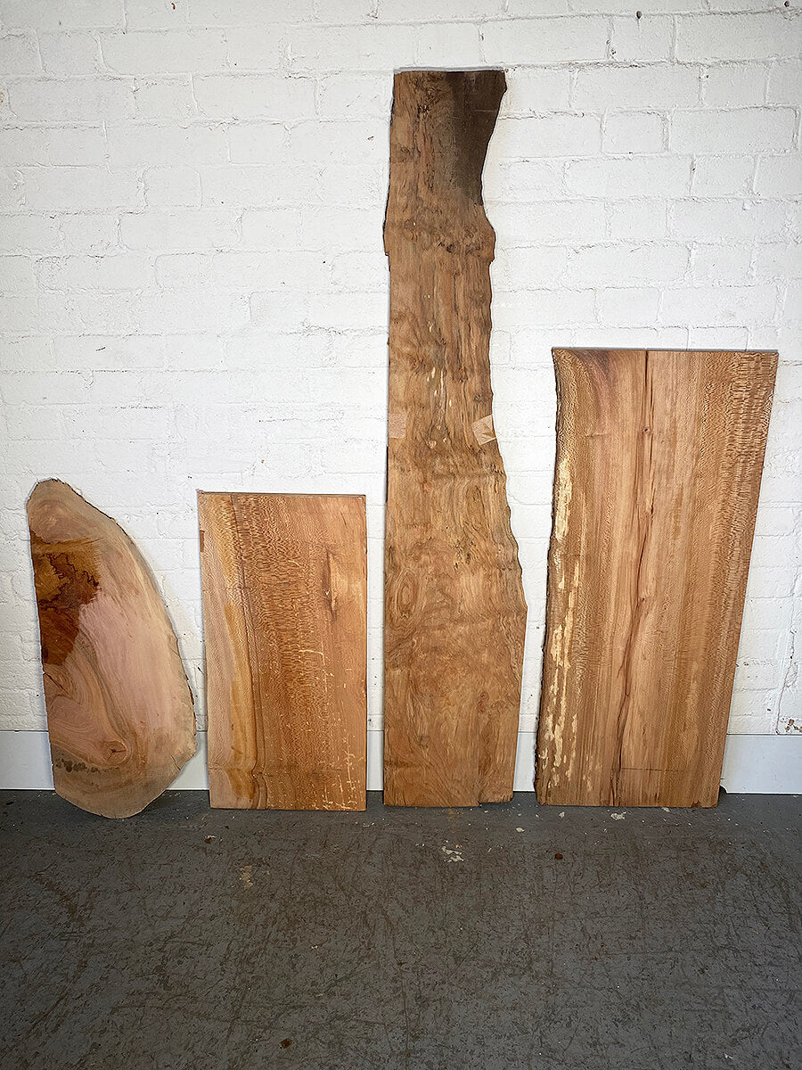 London Plane - Multiple Boards