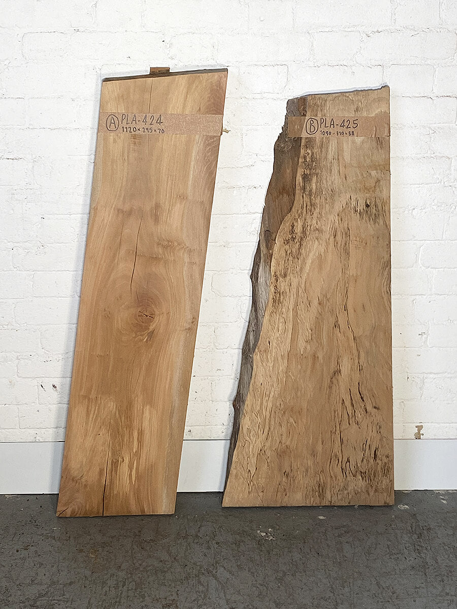 London Plane - Multiple Boards