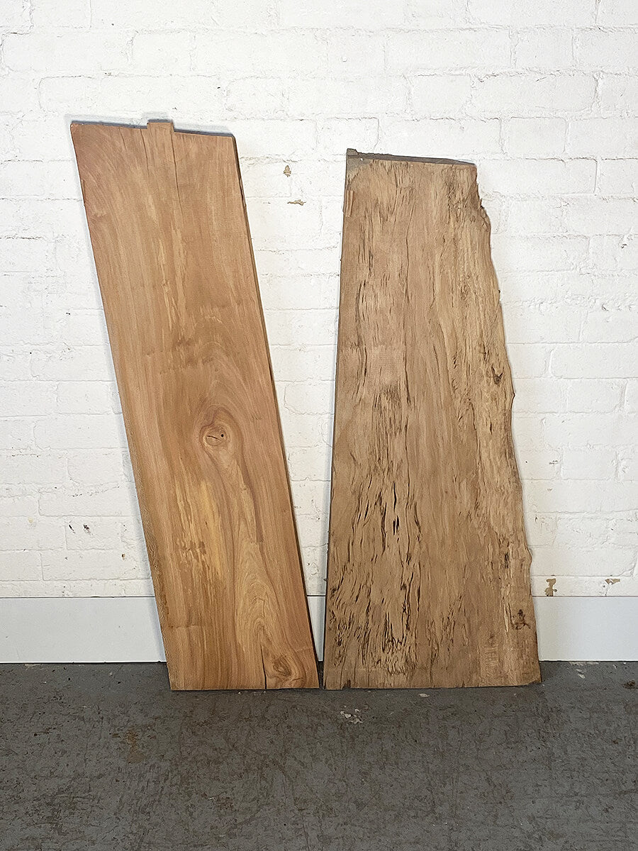 London Plane - Multiple Boards