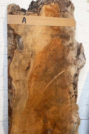 London Plane - Rustic Boards