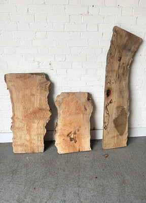 London Plane - Spalted Boards