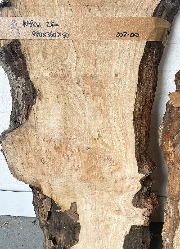 London Plane - Spalted Boards