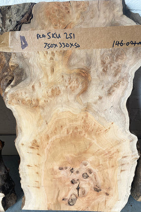 London Plane - Spalted Boards