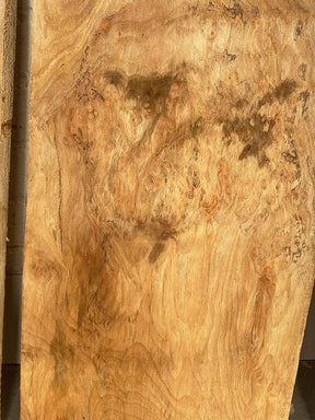 London Plane - Spalted Live Edge Boards