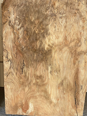 London Plane - Spalted Live Edge Boards