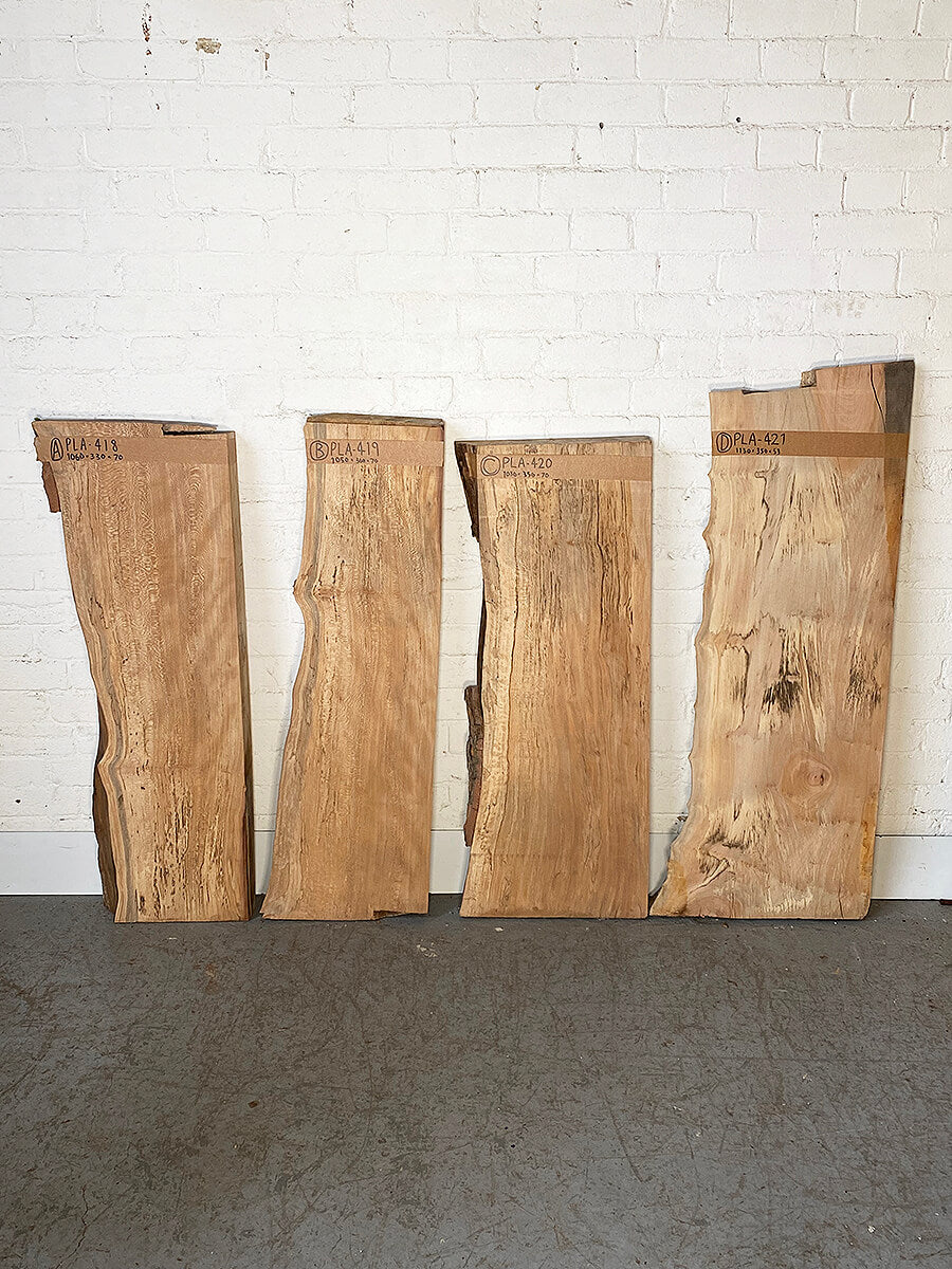 London Plane - Spalted Live Edge Boards